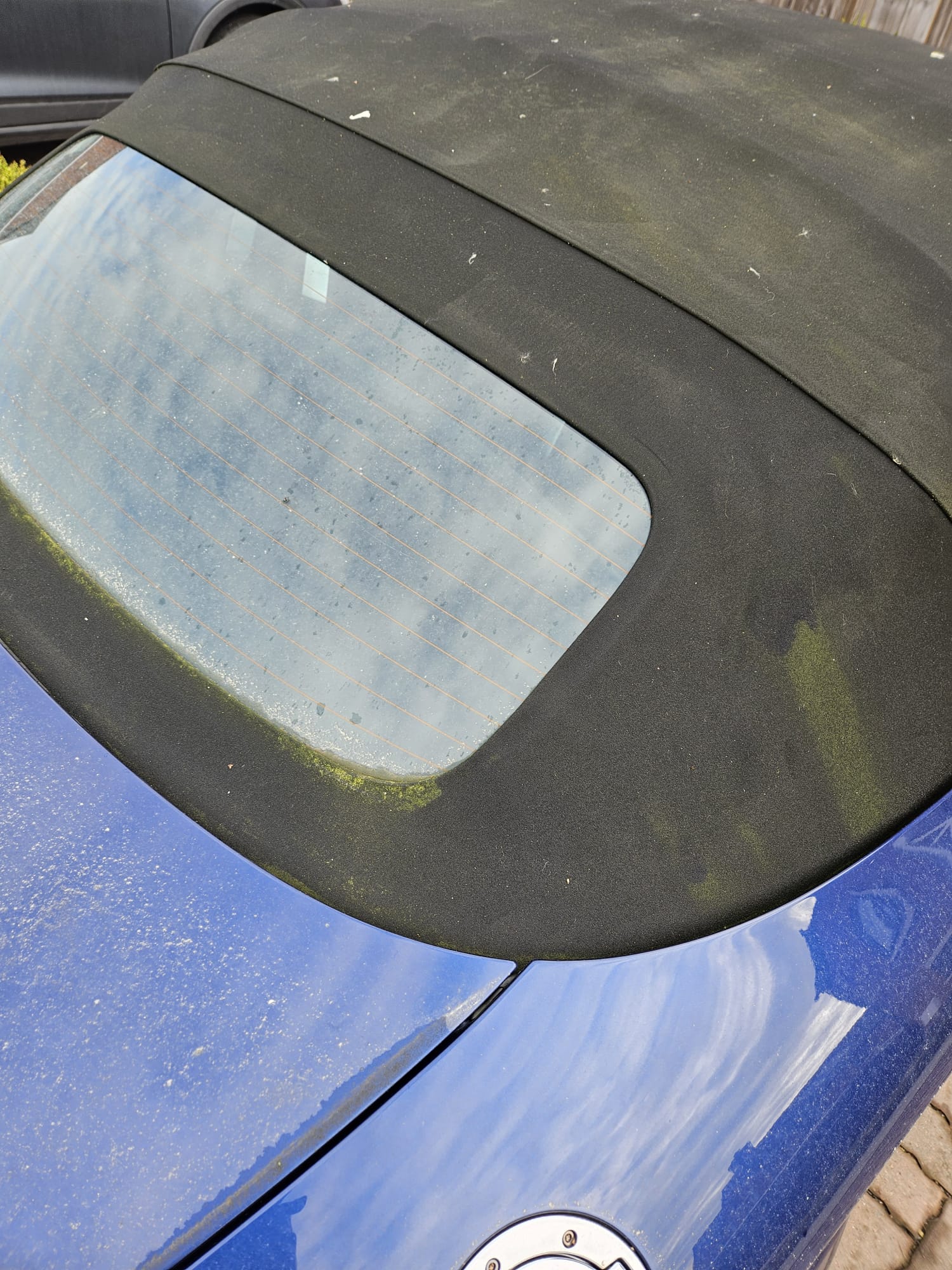 Convertible fabric roof marked with dirt and green growth before cleaning